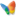 MSN